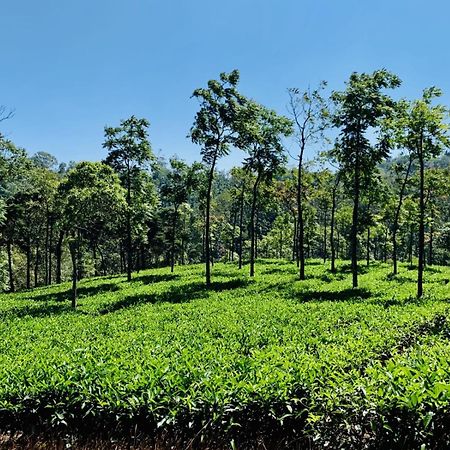 Cassells Jungle Resorts Thekkady Vandiperiyār Extérieur photo