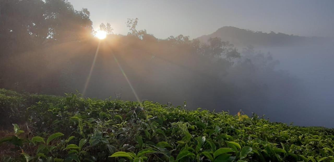Cassells Jungle Resorts Thekkady Vandiperiyār Extérieur photo