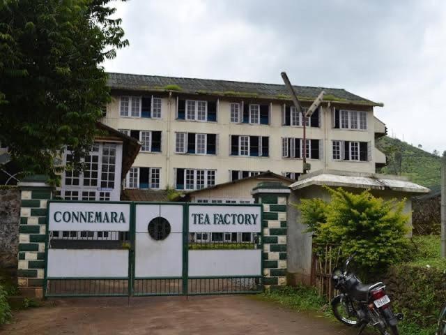 Cassells Jungle Resorts Thekkady Vandiperiyār Extérieur photo