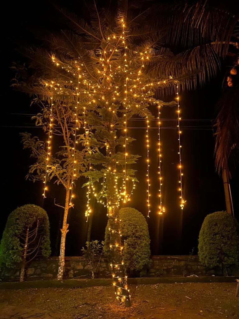 Cassells Jungle Resorts Thekkady Vandiperiyār Extérieur photo