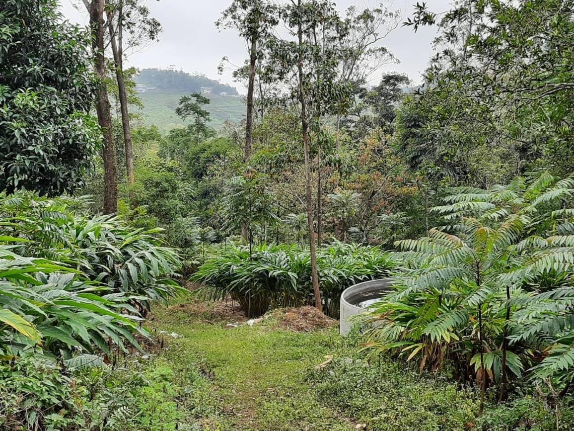 Cassells Jungle Resorts Thekkady Vandiperiyār Extérieur photo