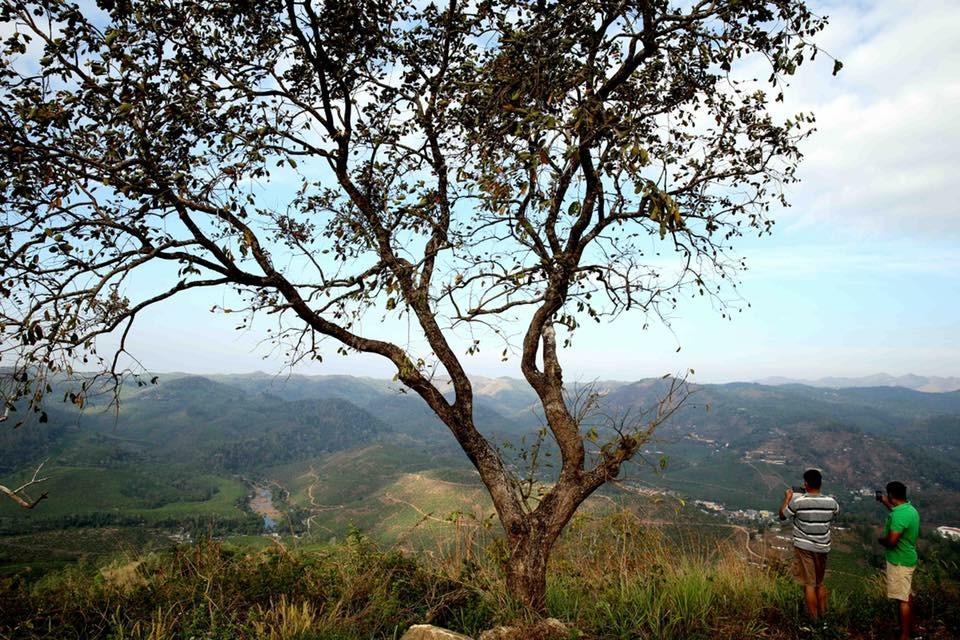 Cassells Jungle Resorts Thekkady Vandiperiyār Extérieur photo