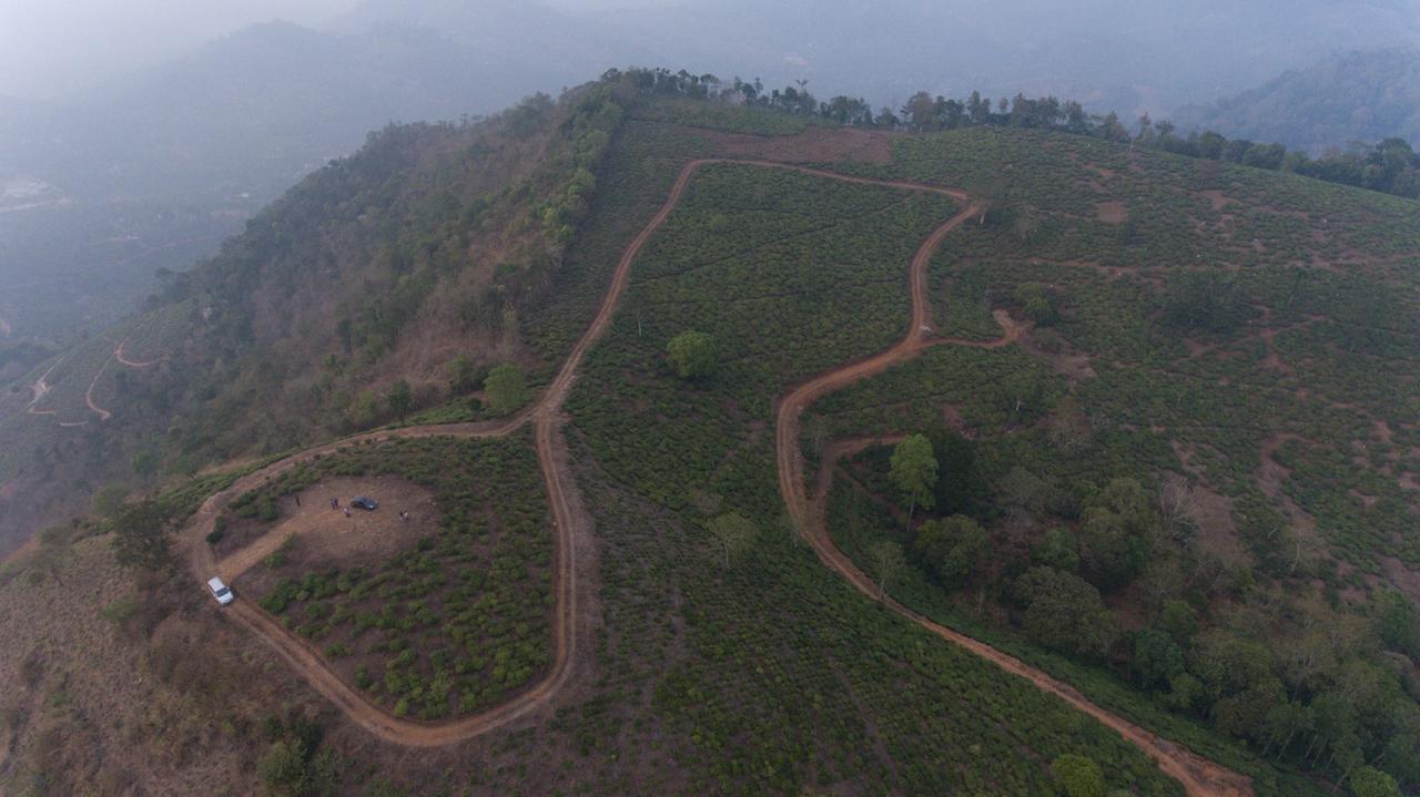 Cassells Jungle Resorts Thekkady Vandiperiyār Extérieur photo