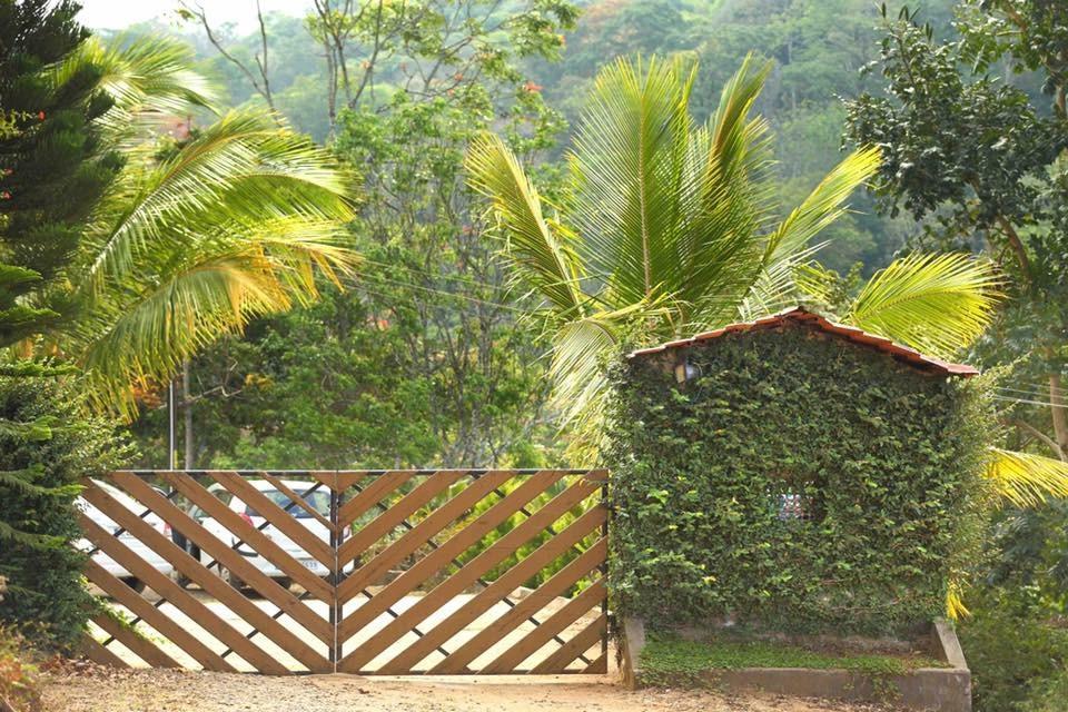 Cassells Jungle Resorts Thekkady Vandiperiyār Extérieur photo