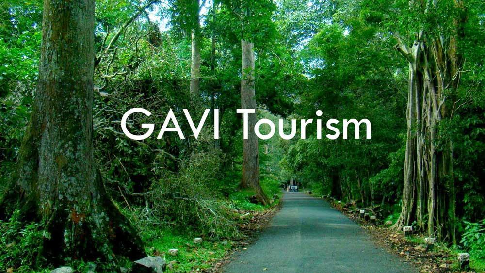 Cassells Jungle Resorts Thekkady Vandiperiyār Extérieur photo