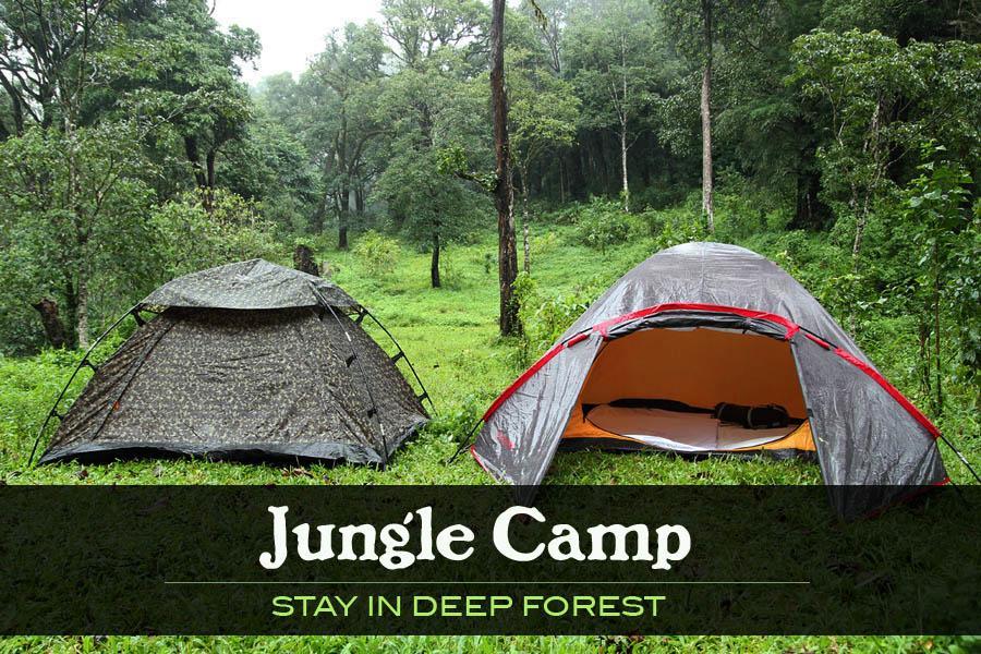 Cassells Jungle Resorts Thekkady Vandiperiyār Extérieur photo